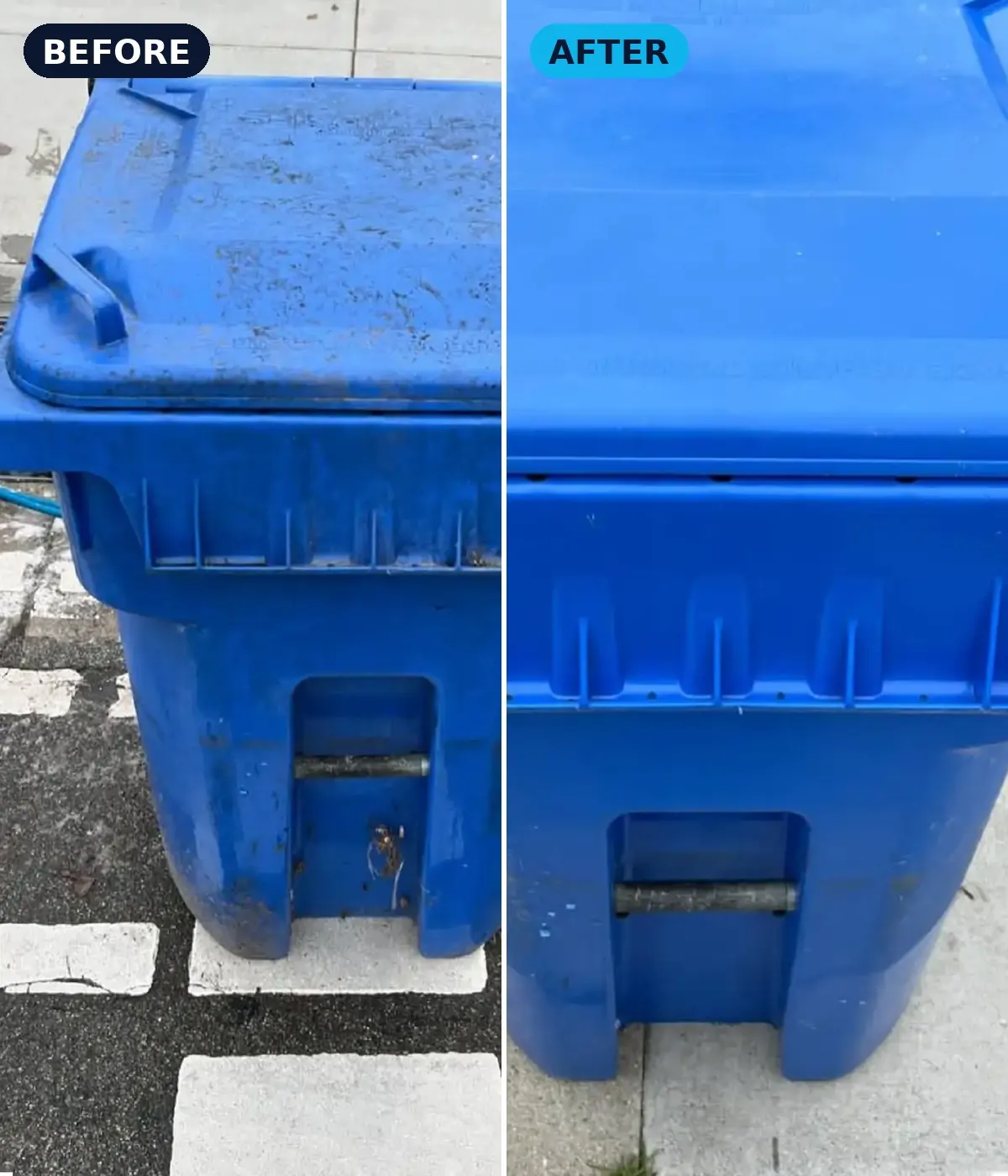 Inside of a blue recycling bin before and after cleaning